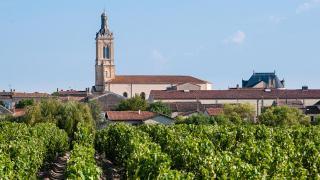 Calon Ségur - La Maison du Vin de Saint-Estèphe