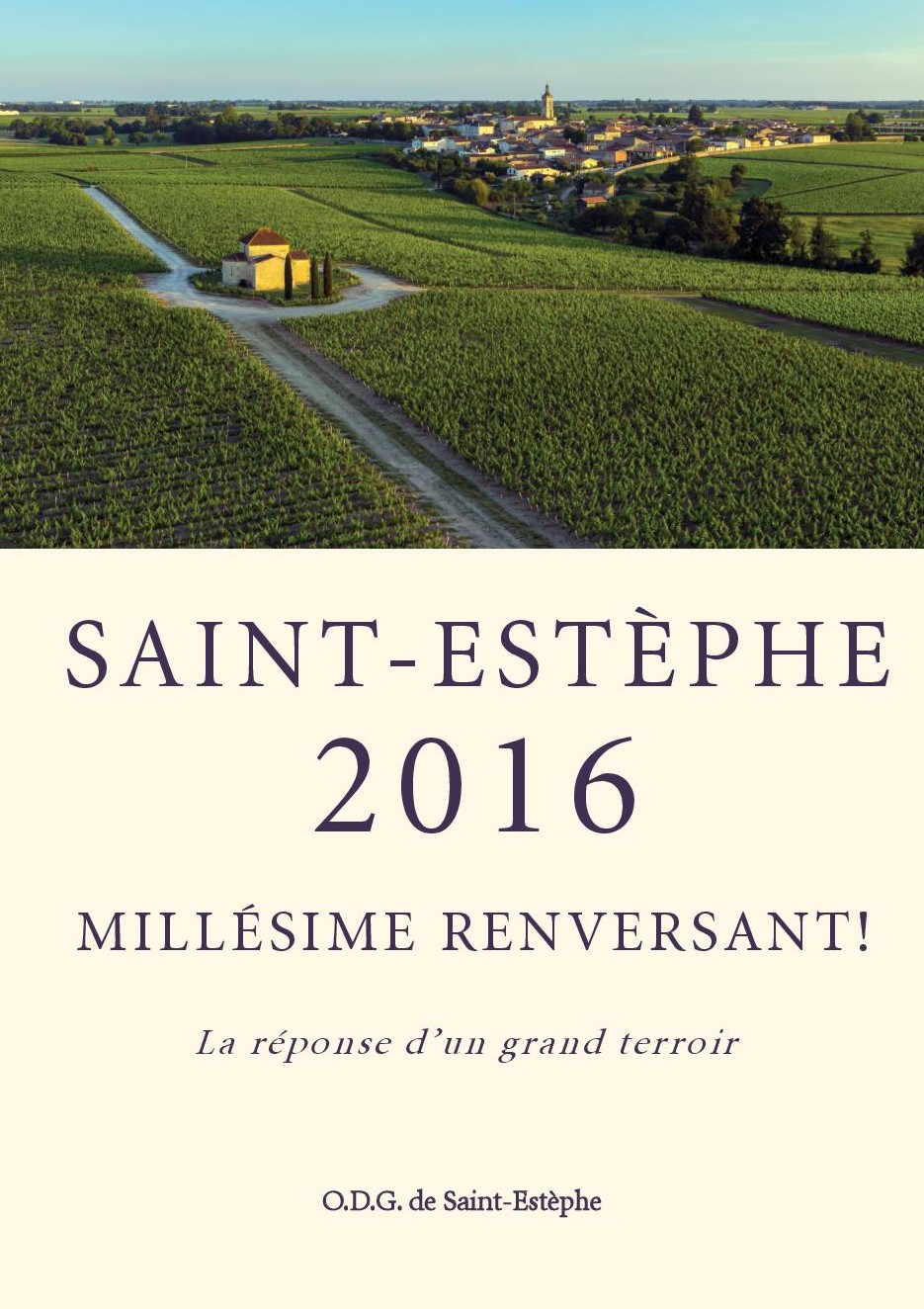 Carnet de vendanges 2016 à Saint-Estèphe