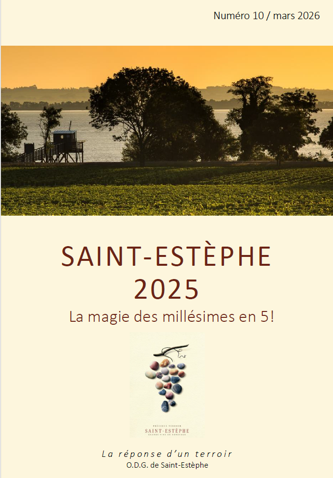 Le carnet de vendanges 2025 de l'appellation Saint-Estèphe
